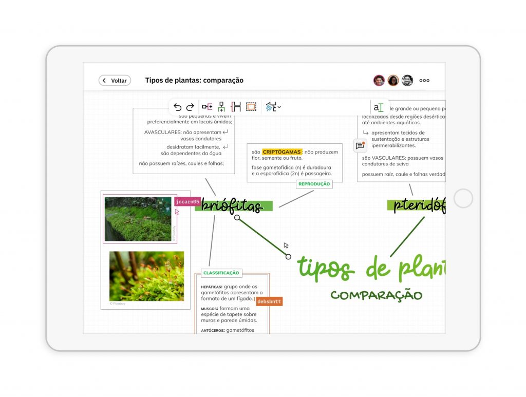 Binder – Resumos e Mapas Mentais
